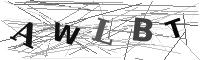 Please refresh your browser to see this image.